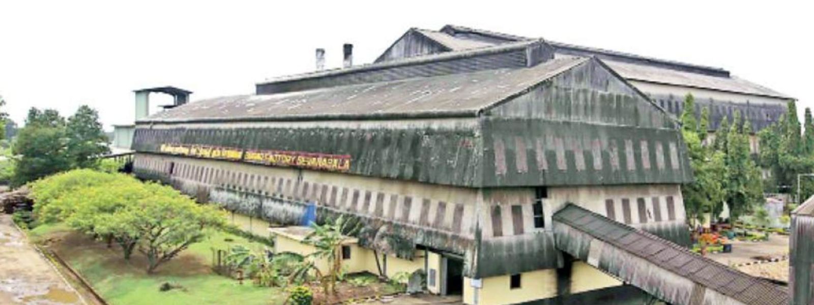 Govt Approves Compensation for Sugarcane Farmers